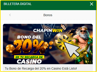 Paso 2: Escoge tu bono