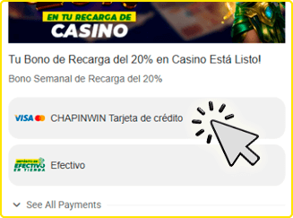 Paso 3: Realiza tu pago